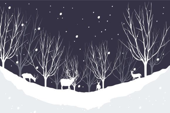 Christmas Night Beautiful Snow Illustrations