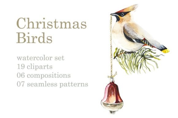 Watercolor Christmas Birds Illustrations